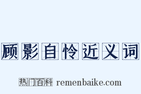 顾影自怜近义词是什么意思的图片
